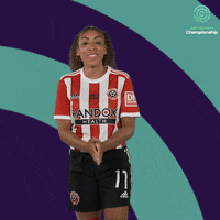Sheffield Blades GIF by FA Women's Championship