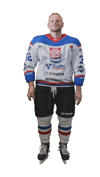 Hockey Player Sticker by STS Sanok