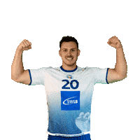 Handball Lanig Sticker by SV Salamander Kornwestheim