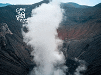 You Can Wow GIF by FranchiseONE.de