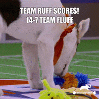 Dogs Love GIF by Puppy Bowl
