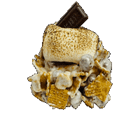 SquaresBakeShop smores squares squaresbakeshop gimmesmoresquare Sticker