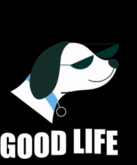 HGHPets dog good life dog life dog with sunglasses GIF