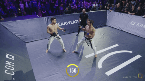 fight mma GIF by Karate Combat