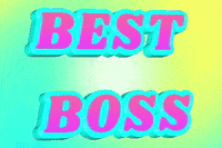 Boss Coach GIF by NeighborlyNotary®