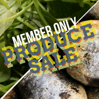 GIF by Rutland Area Food Co-op