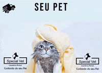 specialvetoficial cat gato petshop gatinho GIF
