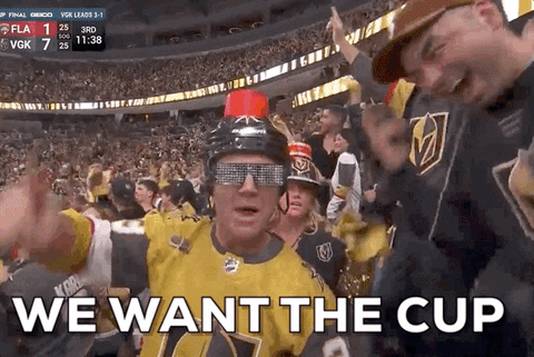 Stanley Cup Sport GIF