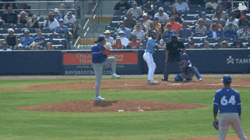 Blue Jays Mlb GIF by Toronto Blue Jays