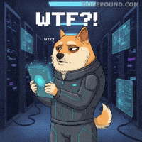 Dog What GIF by Doge Pound