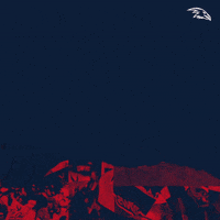 Adelaide Football Club GIF by Adelaide Crows