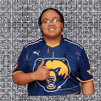 Esports Sticker by WVU Tech Golden Bears