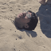 Beach Bury GIF