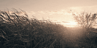 wake up handmaid GIF by HULU