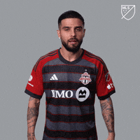 Vamos Lets Go GIF by Major League Soccer