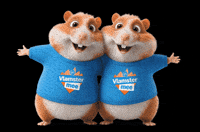 Hamsters Appie GIF by Albert Heijn