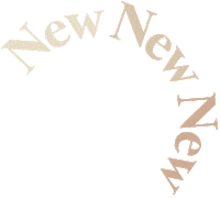 Justin Newarrival Sticker by BILLINI