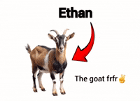 Kelp Krew Ethan GIF