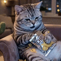 OrbitPaws comedy show shock scream GIF