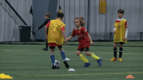 7NewsWKBW giphygifmaker soccer goal GIF