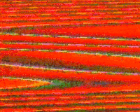 glitch vhs GIF by CAPITALWASTE