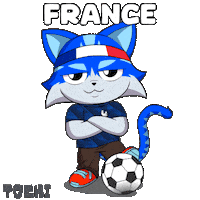 France Win Sticker by Toshithecat