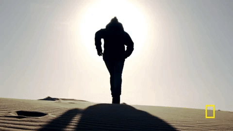 9:05 GIF by National Geographic Channel