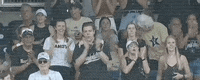 College World Series Baseball GIF by NCAA Championships