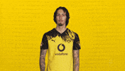 Borussia Dortmund Silva GIF by Bundesliga