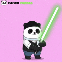 Star Wars Panda GIF by Pandu Pandas