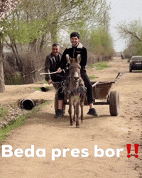 Pres Beda GIF