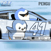 Car Penguin GIF by Pudgy Penguins