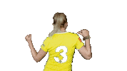 Fieldhockey Sticker by coelen
