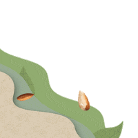 Nuevo Toni Sticker by Tonicorp