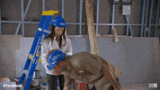Block Au GIF by The Block