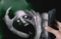 Scared What The Hell GIF