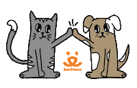 High Five Cat Sticker by Best Friends Animal Society