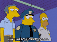 homer simpson GIF