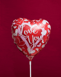 linneabullion i love you valentine valentines day love you GIF