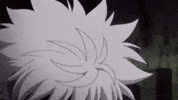 breadstck hxh hunter x hunter killua GIF