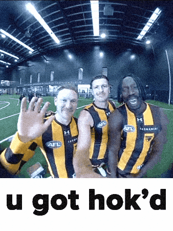Afl Hawks GIF by Hawthorn Football Club