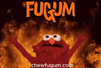 Let It Go Fire GIF by Fugum