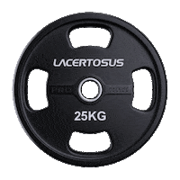 Lacertosus fitness gym training disco Sticker