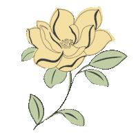 Flower Buttercup Sticker