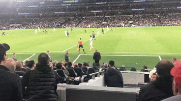 Spurs Manager Reacts to Fan During Defeat to Man City