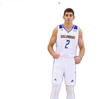 Basketball Hype Sticker by Delaware Blue Hens