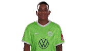 Van De Sanden Hello Sticker by VfL Wolfsburg