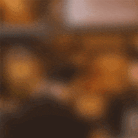 Sparkling Wine Wow GIF by Hallartún