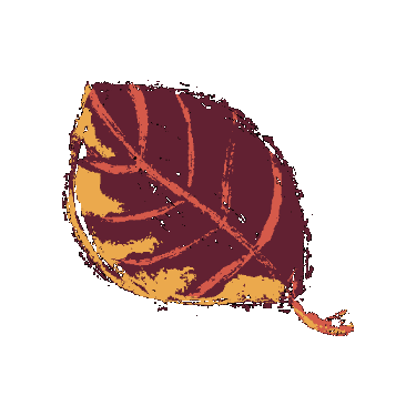 KioreDesign giphygifmaker autumn leaf list Sticker