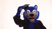 Graduation Uwg GIF by University of West Georgia